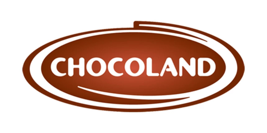 Analysis and implementation of GDPR in the technical-organizational level in CHOCOLAND a.s.